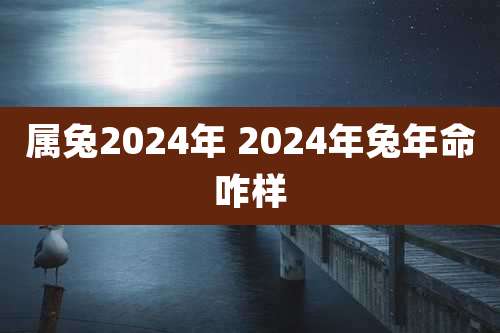属兔2024年 2024年兔年命咋样