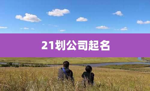 21划公司起名