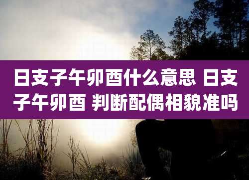 日支子午卯酉什么意思 日支子午卯酉 判断配偶相貌准吗
