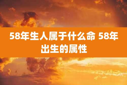 58年生人属于什么命 58年出生的属性
