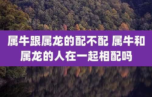 属牛跟属龙的配不配 属牛和属龙的人在一起相配吗