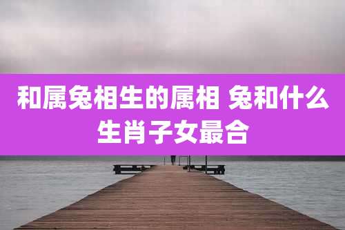 和属兔相生的属相 兔和什么生肖子女最合