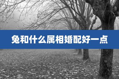 兔和什么属相婚配好一点