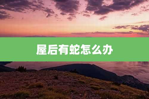 屋后有蛇怎么办