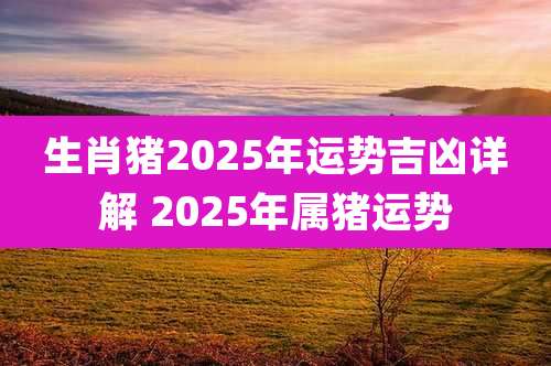 生肖猪2025年运势吉凶详解 2025年属猪运势