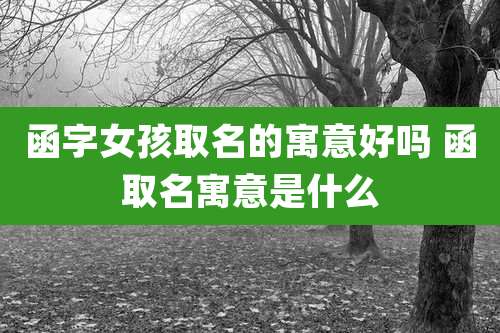 函字女孩取名的寓意好吗 函取名寓意是什么
