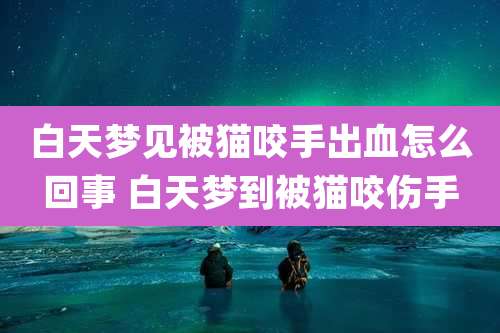 白天梦见被猫咬手出血怎么回事 白天梦到被猫咬伤手