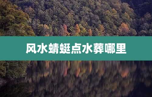 风水蜻蜓点水葬哪里