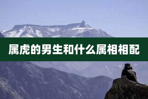 属虎的男生和什么属相相配