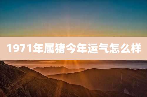 1971年属猪今年运气怎么样