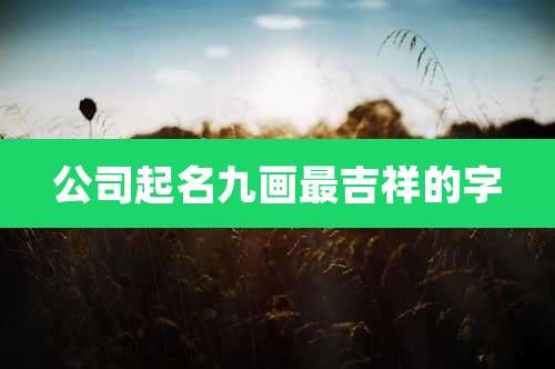 公司起名九画最吉祥的字