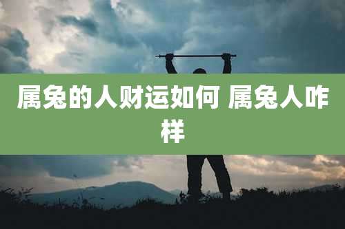 属兔的人财运如何 属兔人咋样