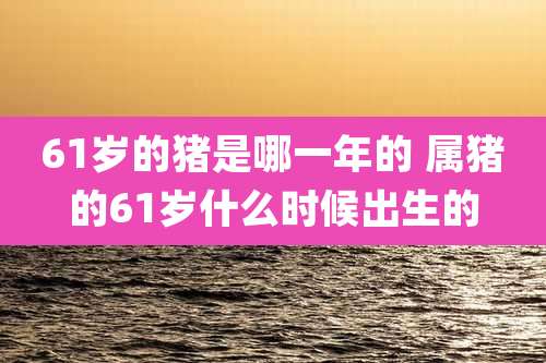 61岁的猪是哪一年的 属猪的61岁什么时候出生的