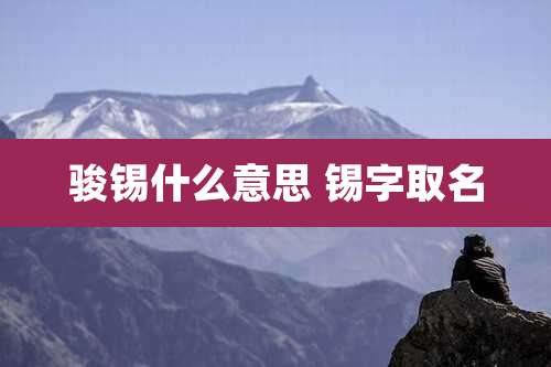 骏锡什么意思 锡字取名