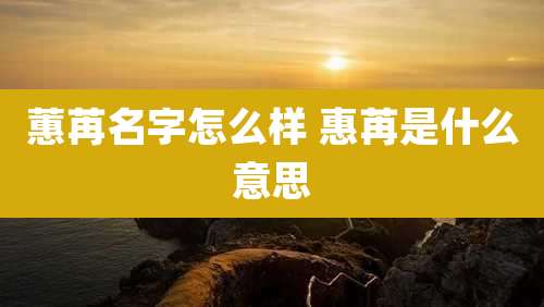 蕙苒名字怎么样 惠苒是什么意思