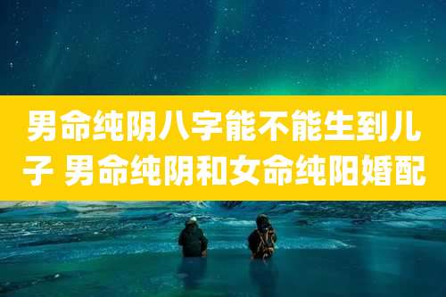 男命纯阴八字能不能生到儿子 男命纯阴和女命纯阳婚配
