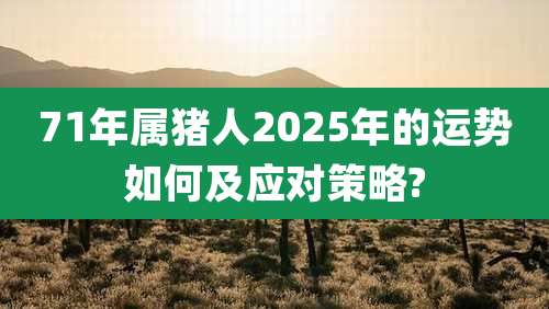 71年属猪人2025年的运势如何及应对策略?