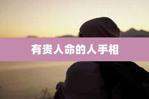 有贵人命的人手相