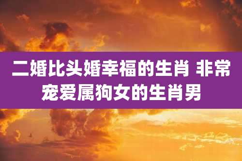 二婚比头婚幸福的生肖 非常宠爱属狗女的生肖男