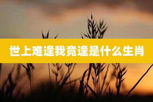 世上难逢我竟逢是什么生肖