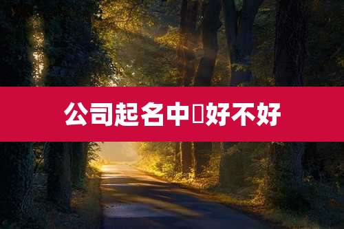 公司起名中骉好不好