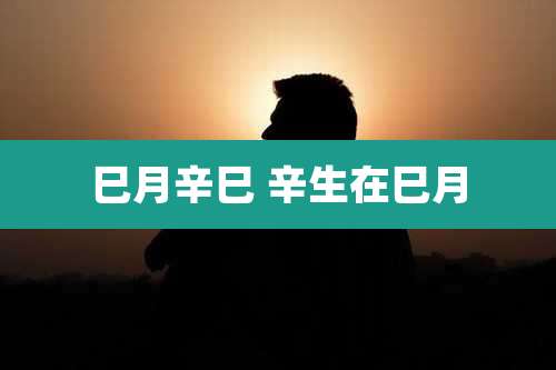 巳月辛巳 辛生在巳月