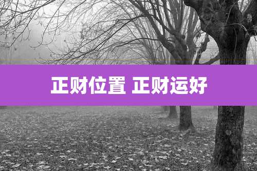 正财位置 正财运好