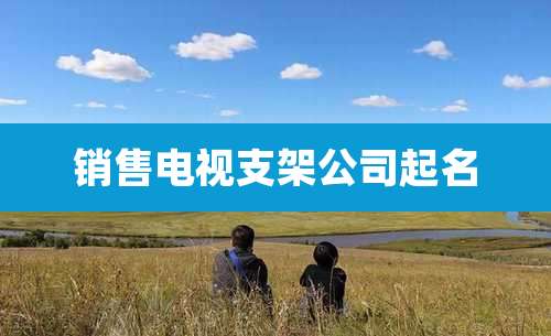 销售电视支架公司起名