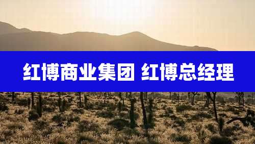 红博商业集团 红博总经理