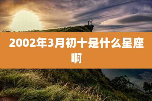 2002年3月初十是什么星座啊