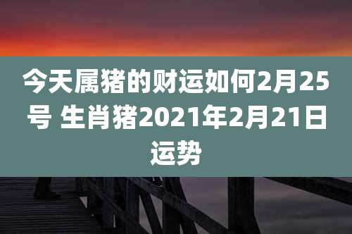 今天属猪的财运如何2月25号 生肖猪2021年2月21日运势