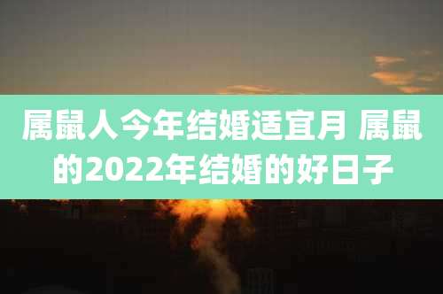属鼠人今年结婚适宜月 属鼠的2022年结婚的好日子