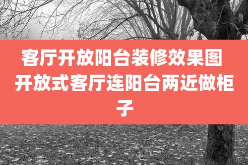 客厅开放阳台装修效果图 开放式客厅连阳台两近做柜子