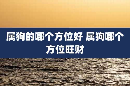 属狗的哪个方位好 属狗哪个方位旺财