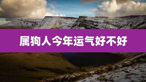 属狗人今年运气好不好