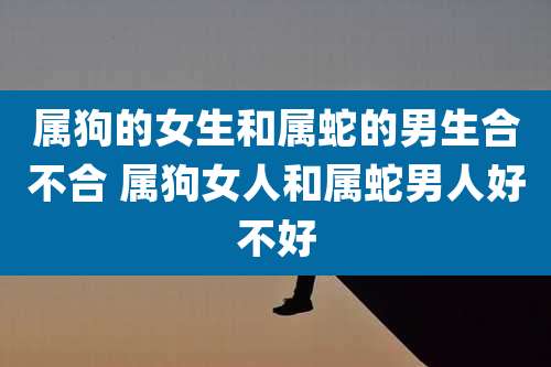 属狗的女生和属蛇的男生合不合 属狗女人和属蛇男人好不好