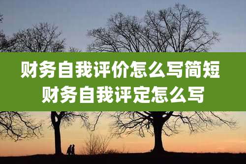 财务自我评价怎么写简短 财务自我评定怎么写