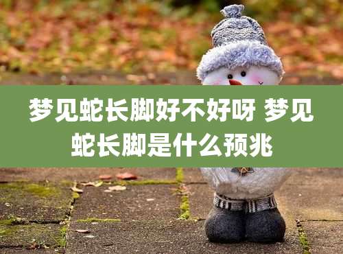 梦见蛇长脚好不好呀 梦见蛇长脚是什么预兆