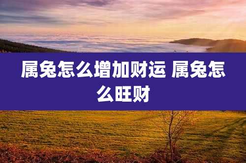 属兔怎么增加财运 属兔怎么旺财