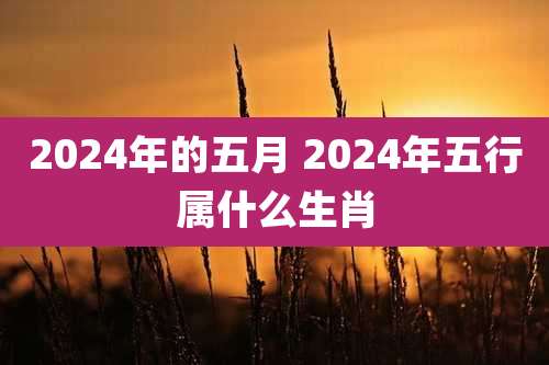 2024年的五月 2024年五行属什么生肖