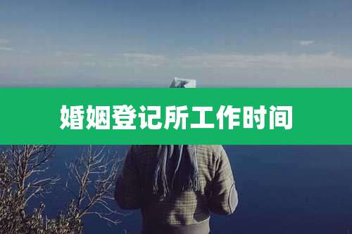 婚姻登记所工作时间