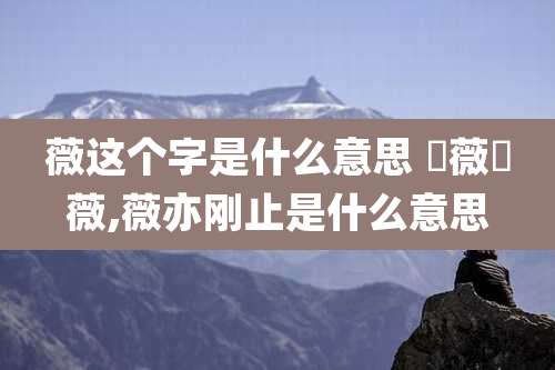 薇这个字是什么意思 釆薇釆薇,薇亦刚止是什么意思