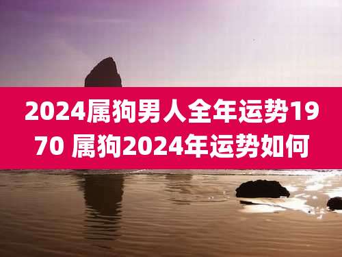 2024属狗男人全年运势1970 属狗2024年运势如何