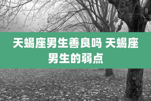 天蝎座男生善良吗 天蝎座男生的弱点