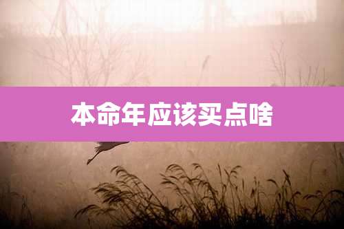 本命年应该买点啥