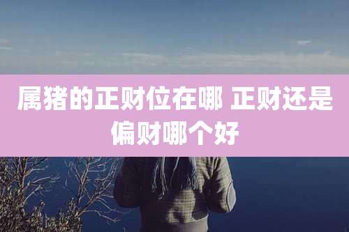 属猪的正财位在哪 正财还是偏财哪个好