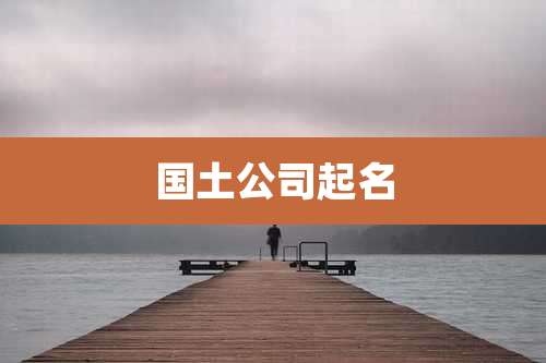 国土公司起名