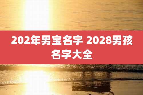 202年男宝名字 2028男孩名字大全