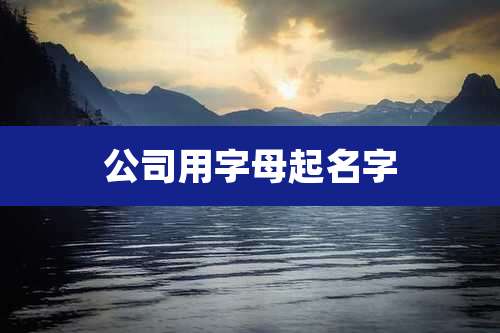 公司用字母起名字