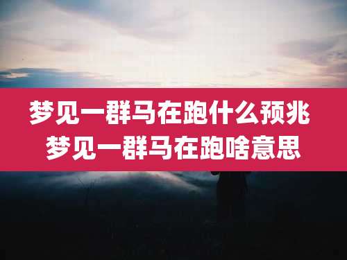梦见一群马在跑什么预兆 梦见一群马在跑啥意思